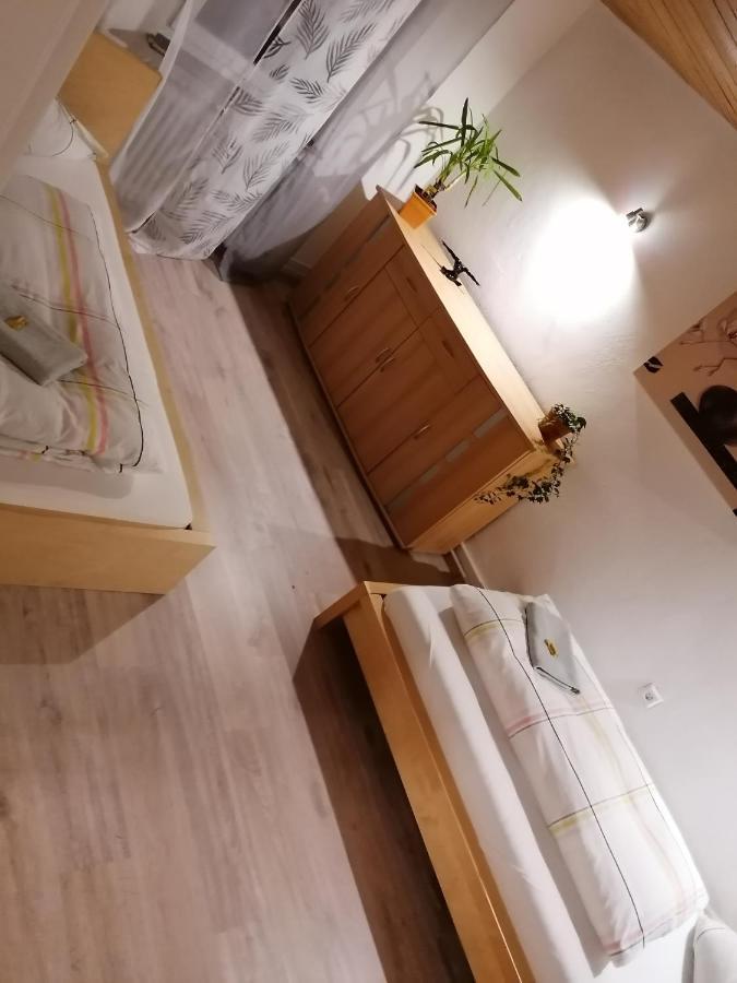 Schrammi'S Ferienwohnung Schwanau Exteriör bild