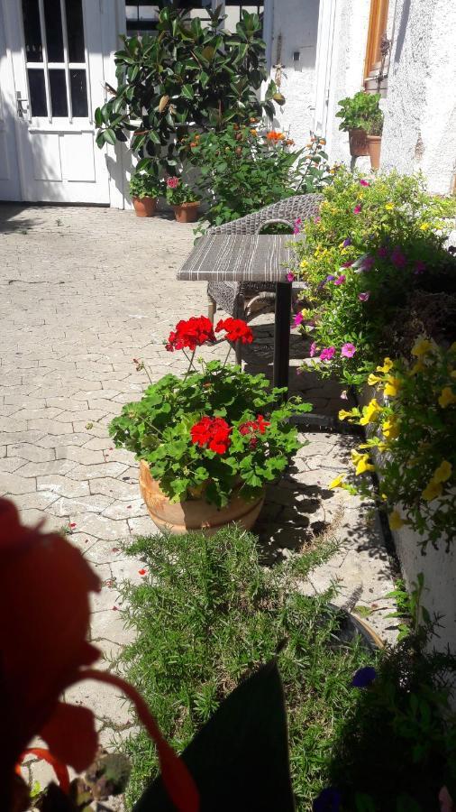 Schrammi'S Ferienwohnung Schwanau Exteriör bild