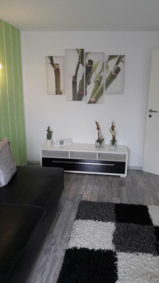 Schrammi'S Ferienwohnung Schwanau Exteriör bild